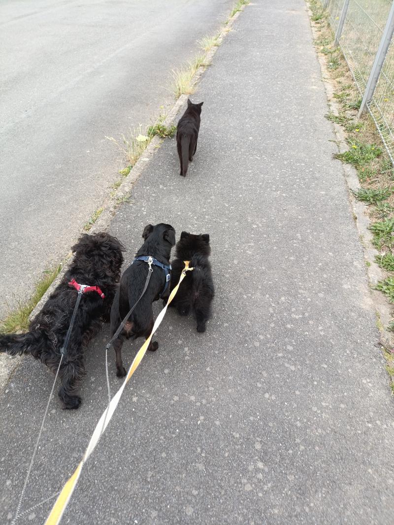 KatchBZH sur Loveparadiz