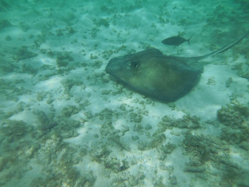 ginou89 sur Loveparadiz