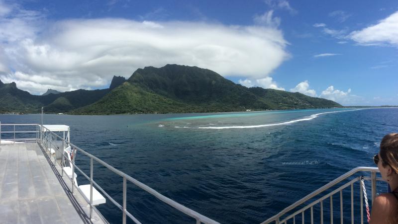 reiaviatte sur Loveparadiz