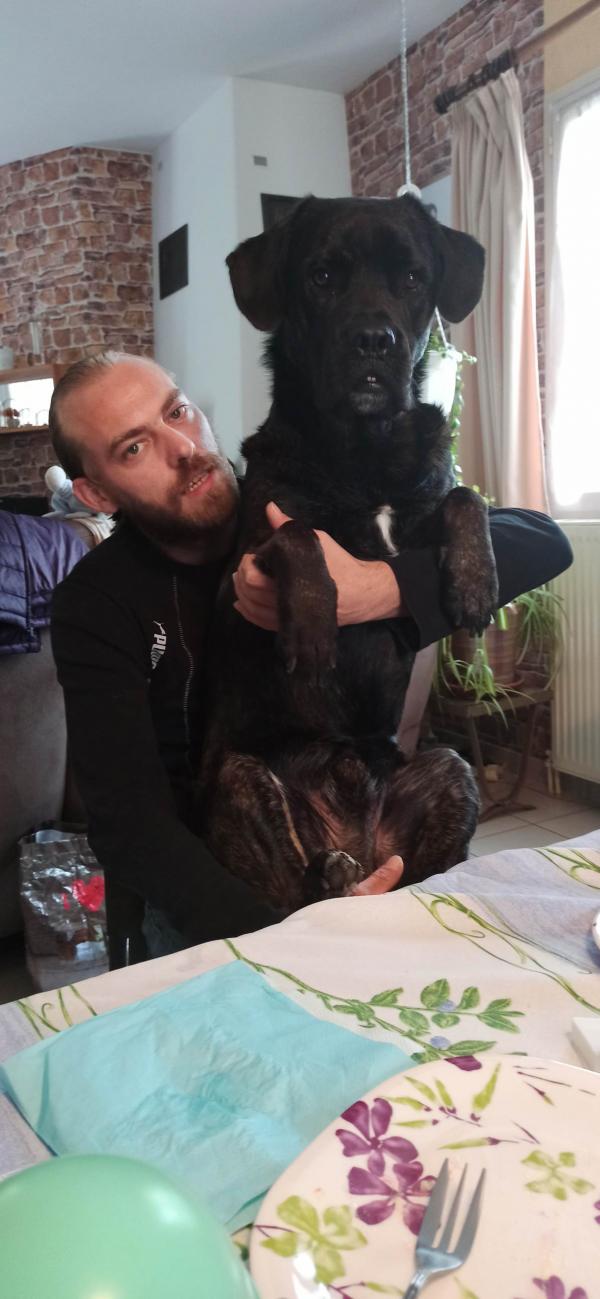 Photo du trombinoscope Loveparadiz